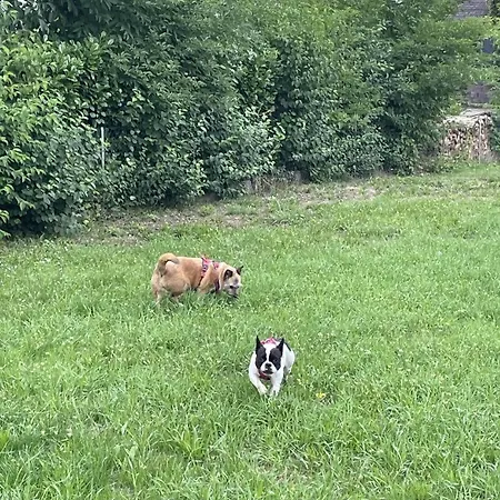 Schicke Philippsburg